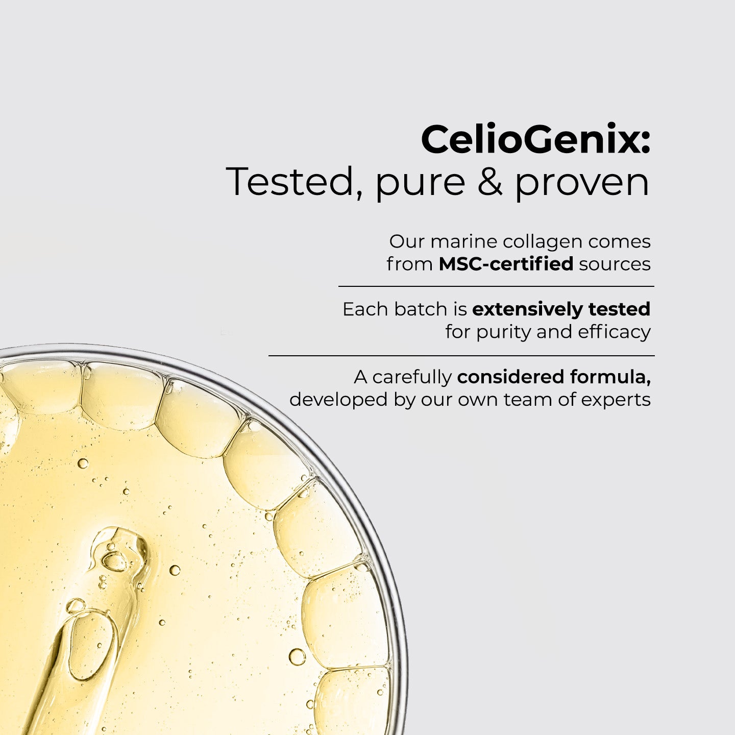 Premium Kollagen Schönheitsgetränk